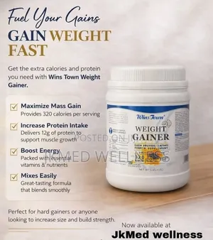 Wins Town Weight Gainer 450g