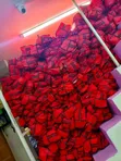 4-Stand Mosquito Net - 2