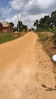 75 Decimals Titled Mailo Land for Sale, Kabonge Main Road - 2