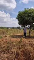 75 Decimals Titled Mailo Land for Sale, Kabonge Main Road - 4