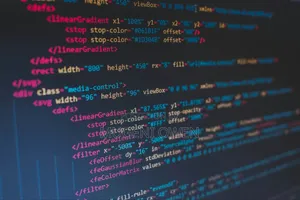Website Design & Development Services