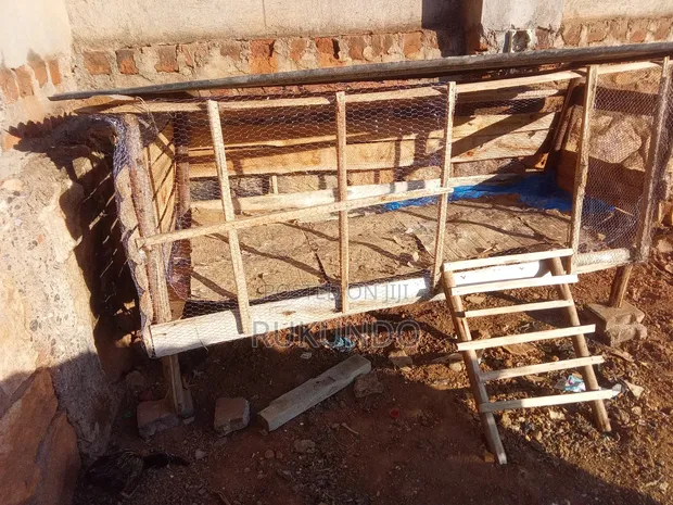 Poultry House Construction Services - 1
