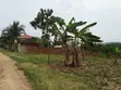 50x100 Residential Plot Along Matugga-Semuto Road - 1