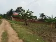 50x100 Residential Plot Along Matugga-Semuto Road - 5