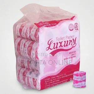 Luxury 2-Ply Toilet Paper Rolls (Pack of 24)