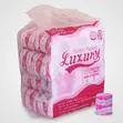 Luxury 2-Ply Toilet Paper Rolls (Pack of 24) - 1