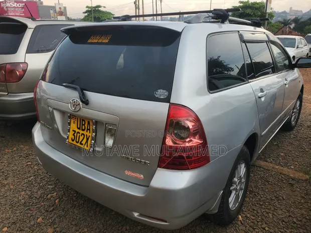 Toyota Corolla Fielder 2007 Silver - 1