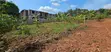 Land for Sale - Kitende Ssekiwunga - 2