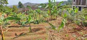 Land for Sale - Luwelo