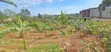 Land for Sale - Luwelo - 2