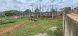 Urgent Sale: Shell Flat House, Kitende Ssekiwunga - 4