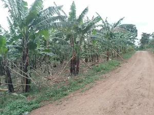 3 Plots for Sale in Gayaza Kiwenda Luwunga
