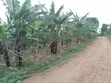 3 Plots for Sale in Gayaza Kiwenda Luwunga - 1