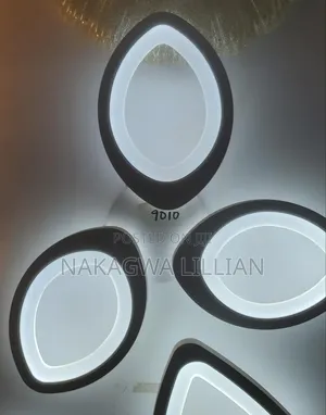 Single Day Light Bulb