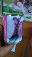 Bomby Red Onion Seeds - 50g Pack - 1