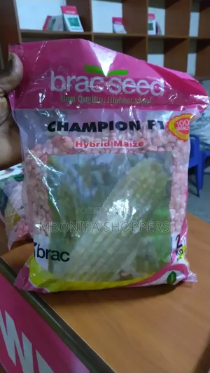 Champion F1 Hybrid Maize Seeds