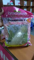 Champion F1 Hybrid Maize Seeds - 1