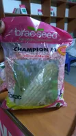 Champion F1 Hybrid Maize Seeds - 2