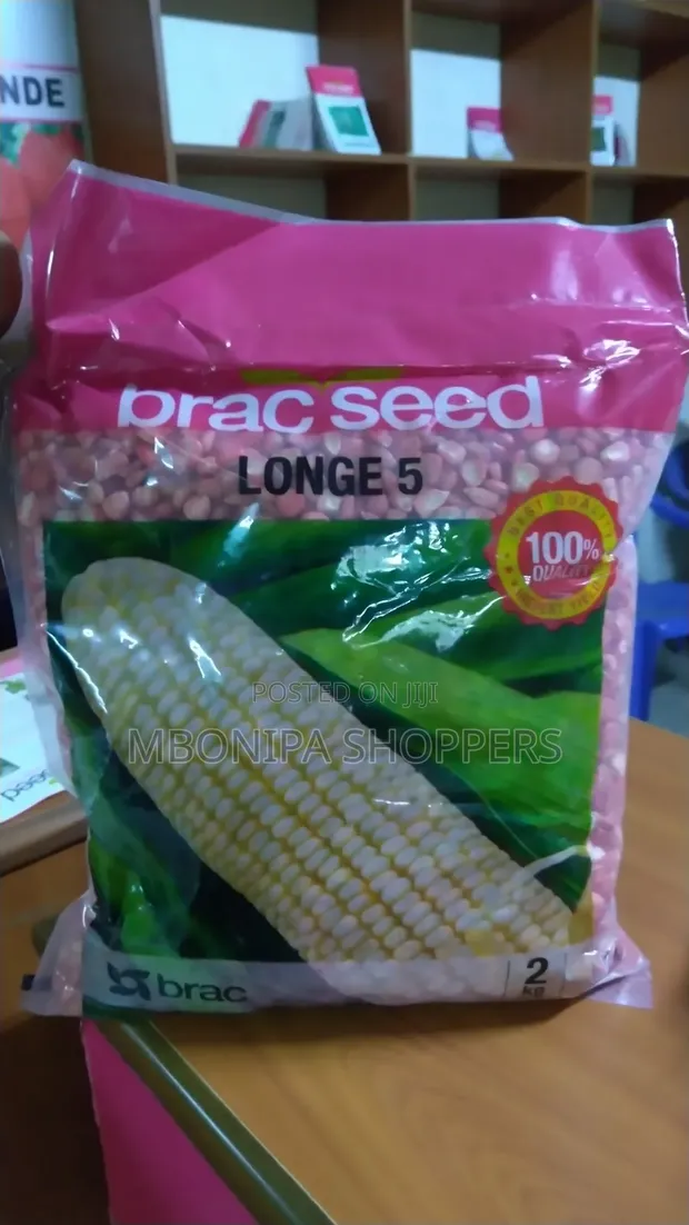 OPV Maize Seeds - Longe 5 Variety - 1