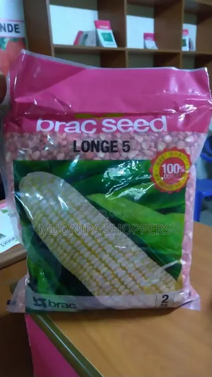OPV Maize Seeds - Longe 5 Variety