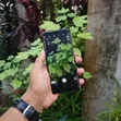 Sony Xperia XZ3 64GB Red - 3