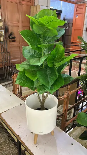 Artificial Home Plants with Pot