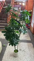 Artificial Home Plants with Pot - 2
