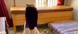 Modern Lounge Chairs (Used) - 2
