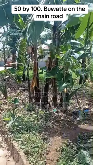 Commercial Plot for Sale in Buwatte