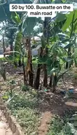 Commercial Plot for Sale in Buwatte - 1