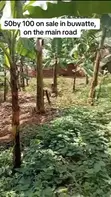 Commercial Plot for Sale in Buwatte - 2