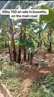 Commercial Plot for Sale in Buwatte - 3