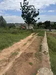 47x100ft Tarmac Road Plot at Kakoola-Kyabakadde for Sale - 3