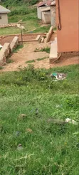 Plot of Land for Sale - Kagoma Lukadde Road - 4