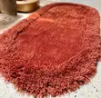 Elegant Entry Door Mat - 2