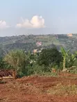 Nakawuka 50x100 Plot for Sale - 1