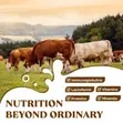 Liposomal Colostrum Powder 150g (60 Servings) - 3