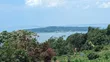 3 Acres Land for Sale in Kalangala with Lake View - 2