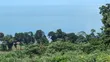 3 Acres Land for Sale in Kalangala with Lake View - 3