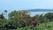 3 Acres Land for Sale in Kalangala with Lake View - 4
