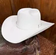 Fashionable Cowboy Hats - 3