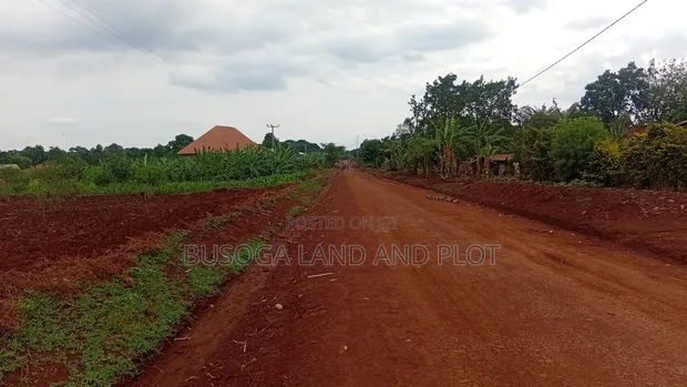 3 Acres Freehold Land with Electricity, Jinja City - 1