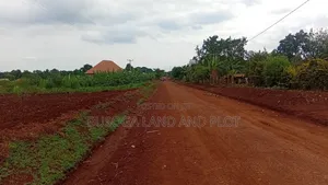 3 Acres Freehold Land with Electricity, Jinja City