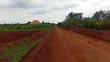 3 Acres Freehold Land with Electricity, Jinja City - 1