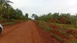 3 Acres Freehold Land with Electricity, Jinja City - 2