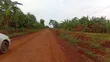 3 Acres Freehold Land with Electricity, Jinja City - 3