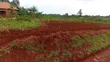 3 Acres Freehold Land with Electricity, Jinja City - 5