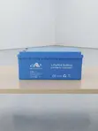 Apollo Solar 300Ah 12V LiFePO4 Inverter Battery - 1