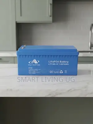 Durable Apollo 300Ah Lithium Iron Phosphate Solar Battery