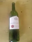 Empty Wine Bottles - 1